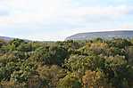 Paulinskill Viaduct